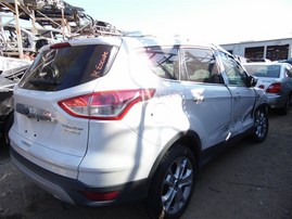 2014 Ford Escape Titanium White 1.6L EcoBoost AT 2WD #F22976